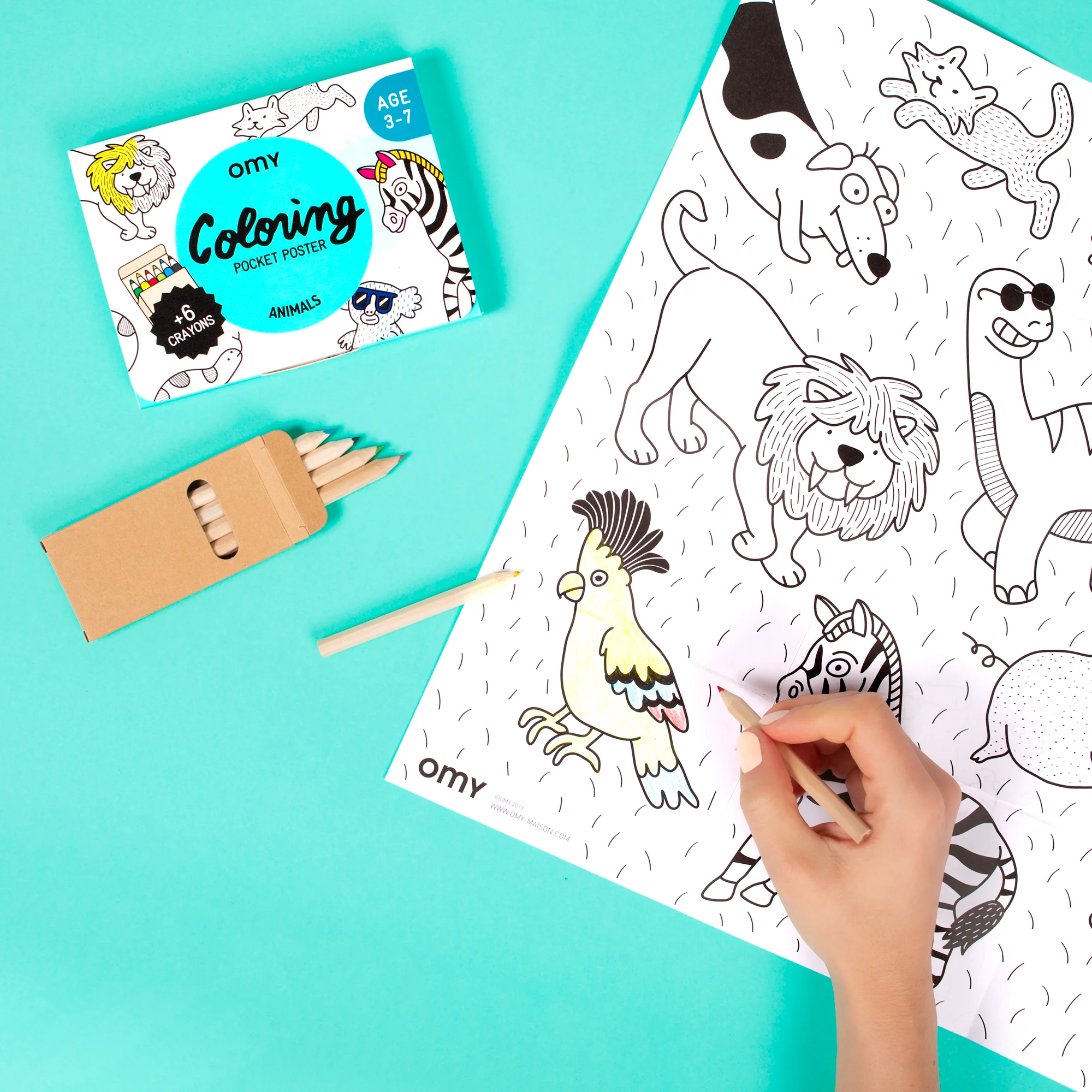 Livro de Pintar Animais